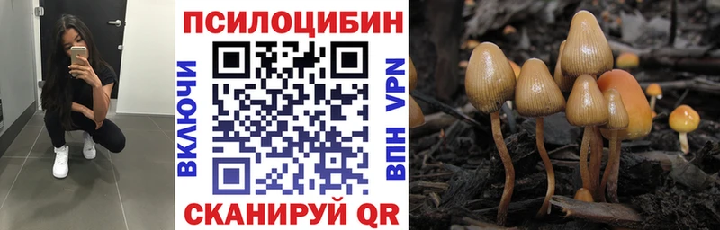 Псилоцибиновые грибы мицелий  Дзержинск 